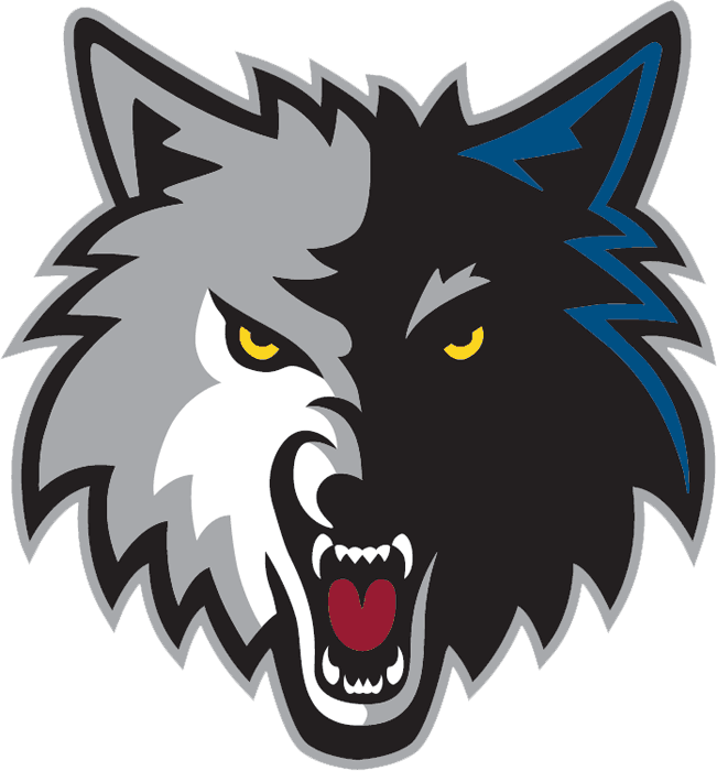 Minnesota Timberwolves 2008-2017 Alternate Logo iron on transfers for fabric